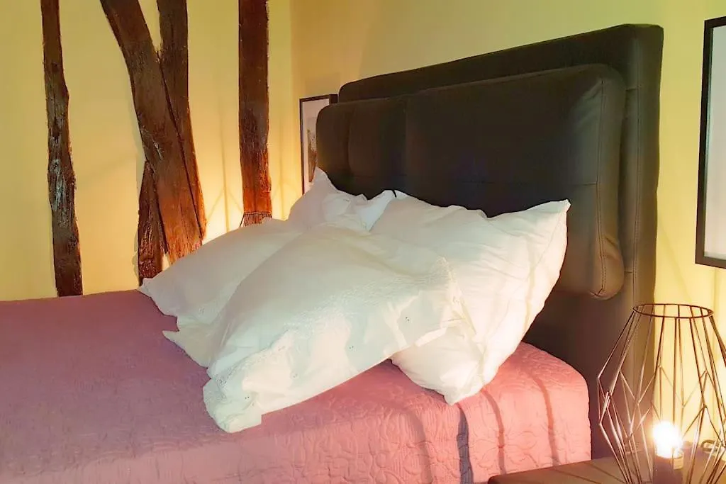 Appartement Dans Le Marais 3 Chambres Paris